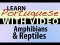 Learn Brazillian Portuguese with Video - Amphibians  Reptiles