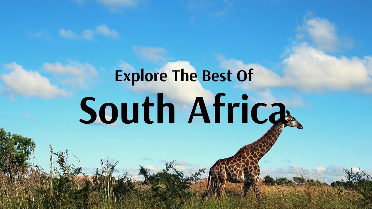 Best of South Africa with Flamingo Travels