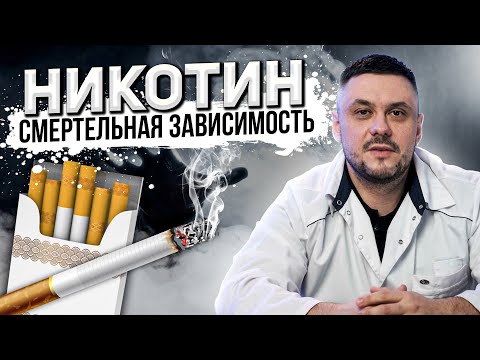 НИКОТИНОВАЯ ЗАВИСИМОСТЬ. Действие никотина на мозг и организм. Лечение никотиновой зависимости