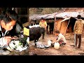 Himalayan Kitchen || Cooking Buff with Rice and Eating in the Cow shelter ||