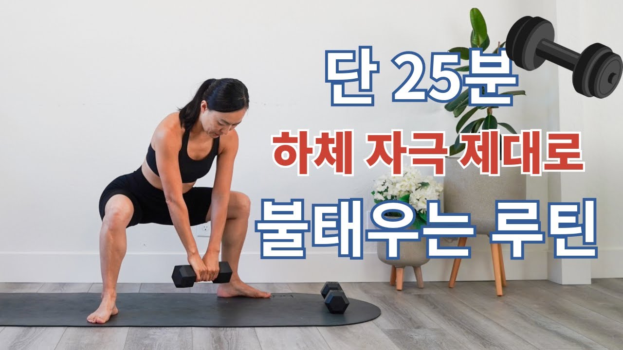 25 분 덤벨 하체 홈트 운동 / 하체가 튼튼하면 질병에서 멀어집니다! 엉덩이 - 허벅지 🔥라인 잡는 루틴