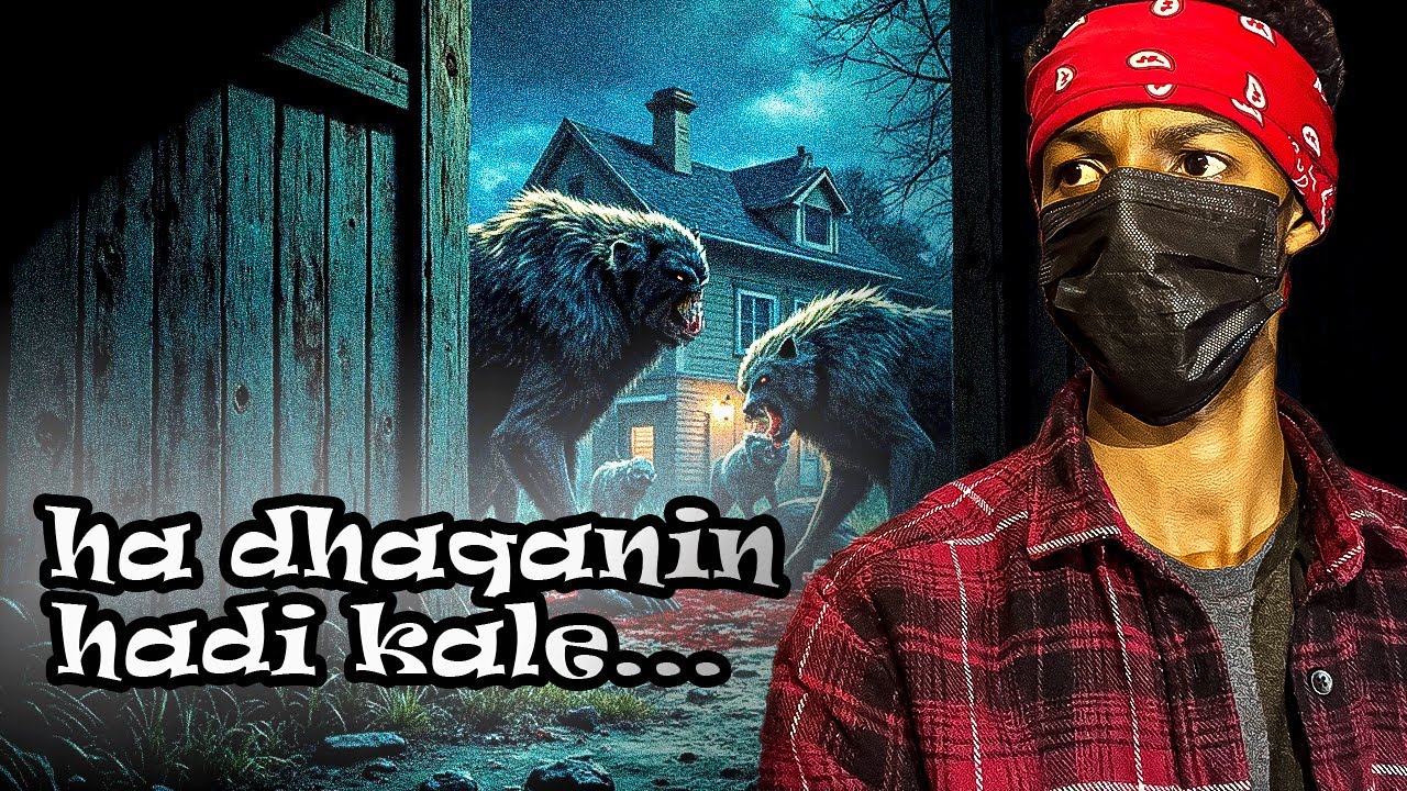 QISO || Habeenkii Ay Bahalladan  SO Weerareen Qoyskan