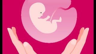 Is There a "Middle Ground" on Abortion?