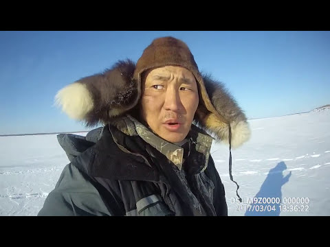 Fishing ловим трофейных горбачей (окунь) Якутия Yakutia