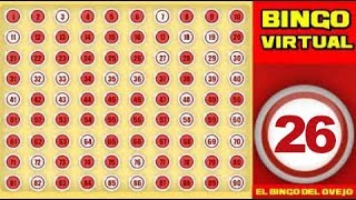 Bingo Virtual 26