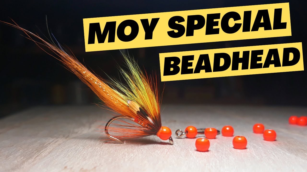 Beadhead Salmon Fly The Moy Special Fly Tying YouTube
