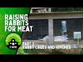 Raising rabbits for meat series  rabbit cages and hutches