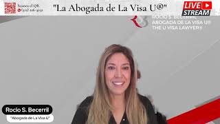 ¿Tienes VisaU y sigues esperando? Riesgos, retrasos en el permiso de trabajo y actualizaciones clave