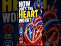 How does the Heart works? 🤔  #human #humanbody #heart #science #sciencefacts #bodyfacts