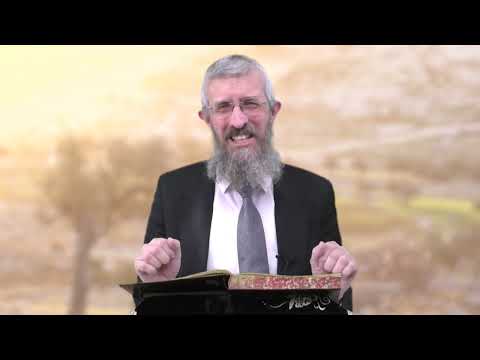 מסכת מנחות דף קא - 8 דקות של לומדות ועמקות בדרך הלימוד הישיבתית [Menachot 101]