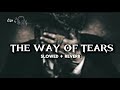 THE WAY OF TEARS Sad Nasheed Sabeel Ud Damogh Slowed Reverb