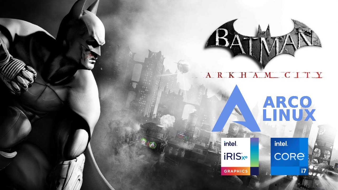 Batman Arkham City - Linux / Core i7 1165g7 - Intel Iris Xe Graphics /  Bencmark