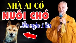 Ai đang NUÔI CHÓ trong nhà KHÔNG ĐƯỢC QUÊN những điều này - ht trí quảng