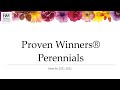First Look! New to Proven Winners Perennials for 2022 | Walters Gardens