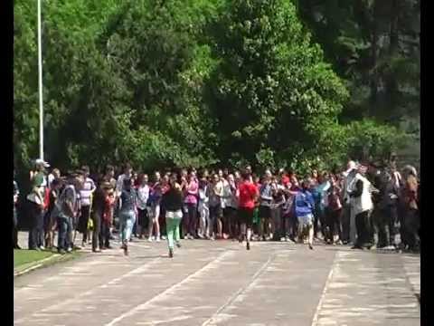 ტურნირი მძლეოსნობაში