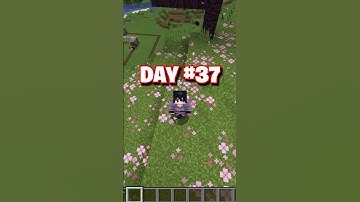 Day 37: Building a Minecraft House One Block a Day