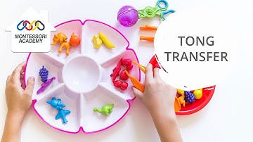 Montessori Activities: Tong Transfer