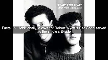 I Believe (Tears for Fears song) Top  #8 Facts