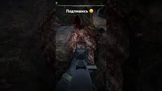 #shorts #stalker #stalker2 #сталкер #мемы #gaming #zone