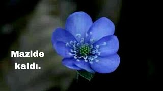 Mazide Kaldı. Duyguları Kabartan Estrümantal Fon Müziği.