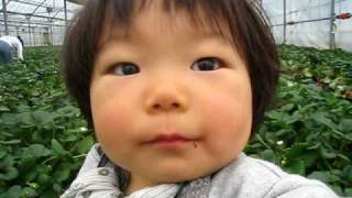 木苺ページ 木苺FRUCTOSE - 木苺FRUCTOSE added a new photo.
