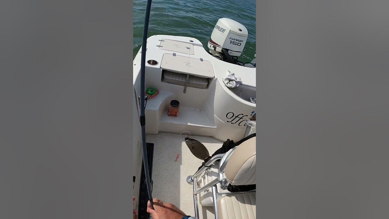 Keeper Flounder!!! YouTube