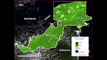 Visualizing Native and Agricultural Tree Cover in the Rajang River Delta