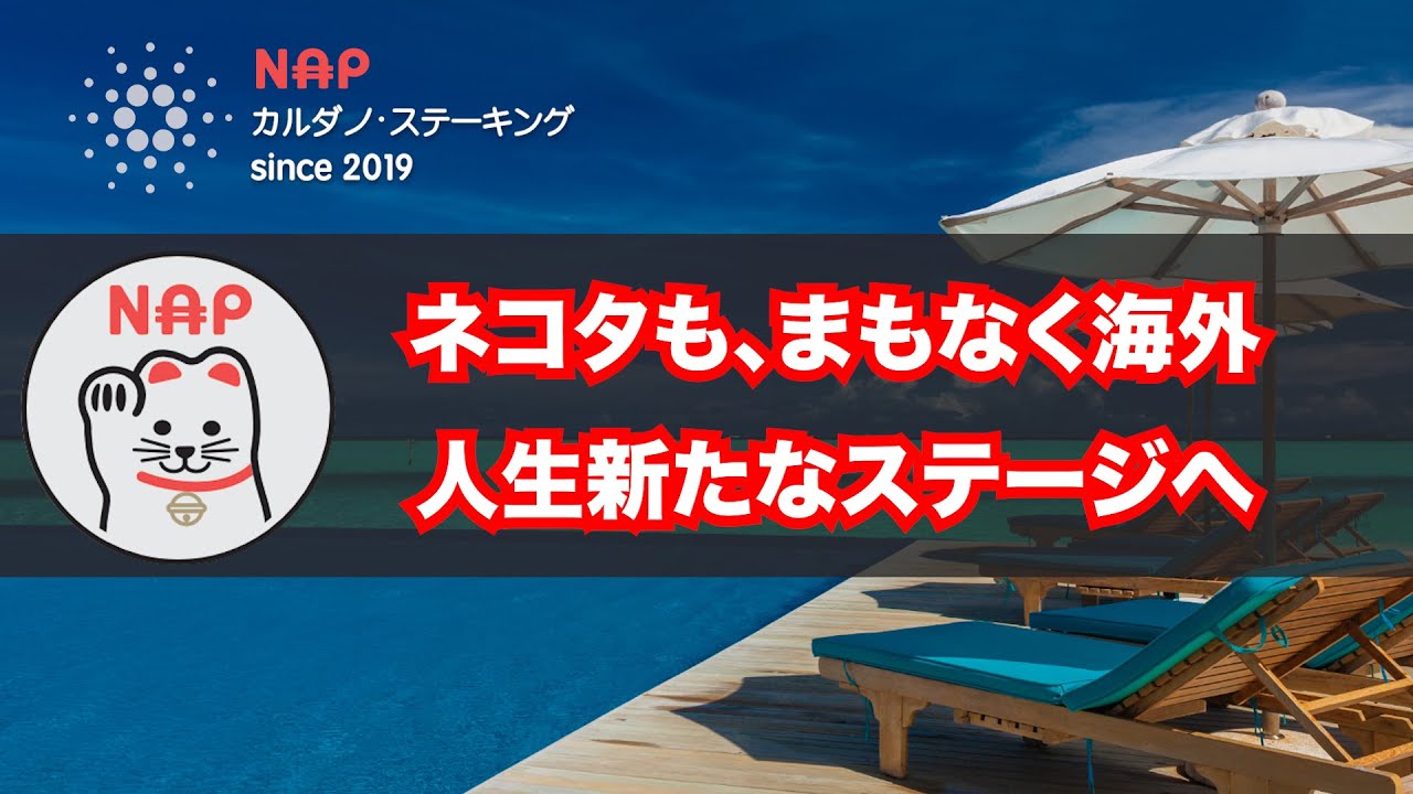 カルダノADA ｜ネコタも、まもなく海外 ~人生新たなステージへ - YouTube