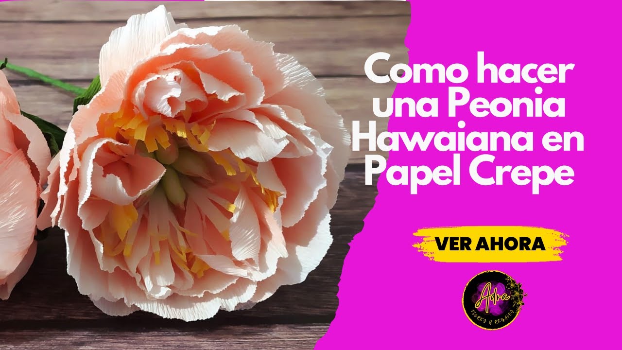 Siguiendo la pista de las flores de papel crepé - 1, Nikua