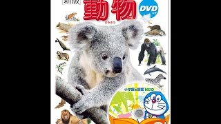 【紹介】DVD付 新版 動物 小学館の図鑑 NEO （三浦 慎悟,成島 悦雄,& 5 その他）