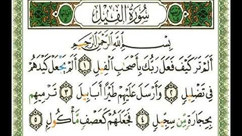 سورة الفيل  الشيخ ناصر القطامي