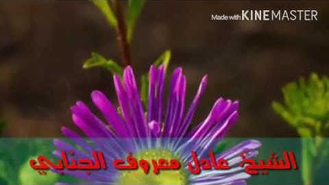 تلاوة عراقية ، عادل معروف الجنابي