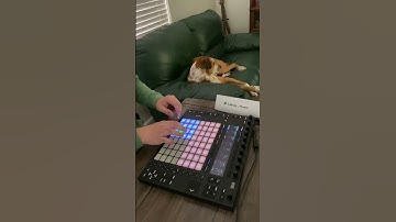 How to Make a Beat with Ableton Push