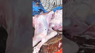 🐐 Fresh Mutton, Flavourful Mutton Biryani 🐐