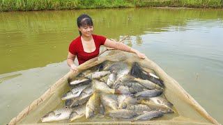 Harvesting A Lot Of Fish Goes To Countryside Market Sell || Phương  Free Bushcraft