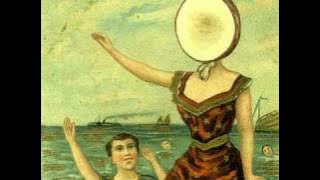 Neutral Milk Hotel -  In the Aeroplane Over the Sea  / with lyrics