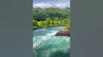 قراءة مريحة لسورة يس {إِنَّ أَصْحَابَ الْجَنَّةِ الْيَوْمَ فِي شُغُلٍ فَاكِهُونَ {55} #قرآن #quran