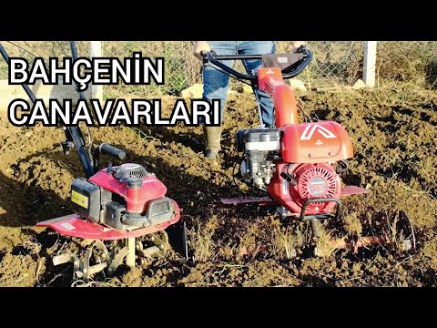 Bahçeniz için doğru