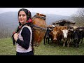 Rural Life In A Mountainous Village In IRAN Rural Life In A Mountainous Village In IRAN