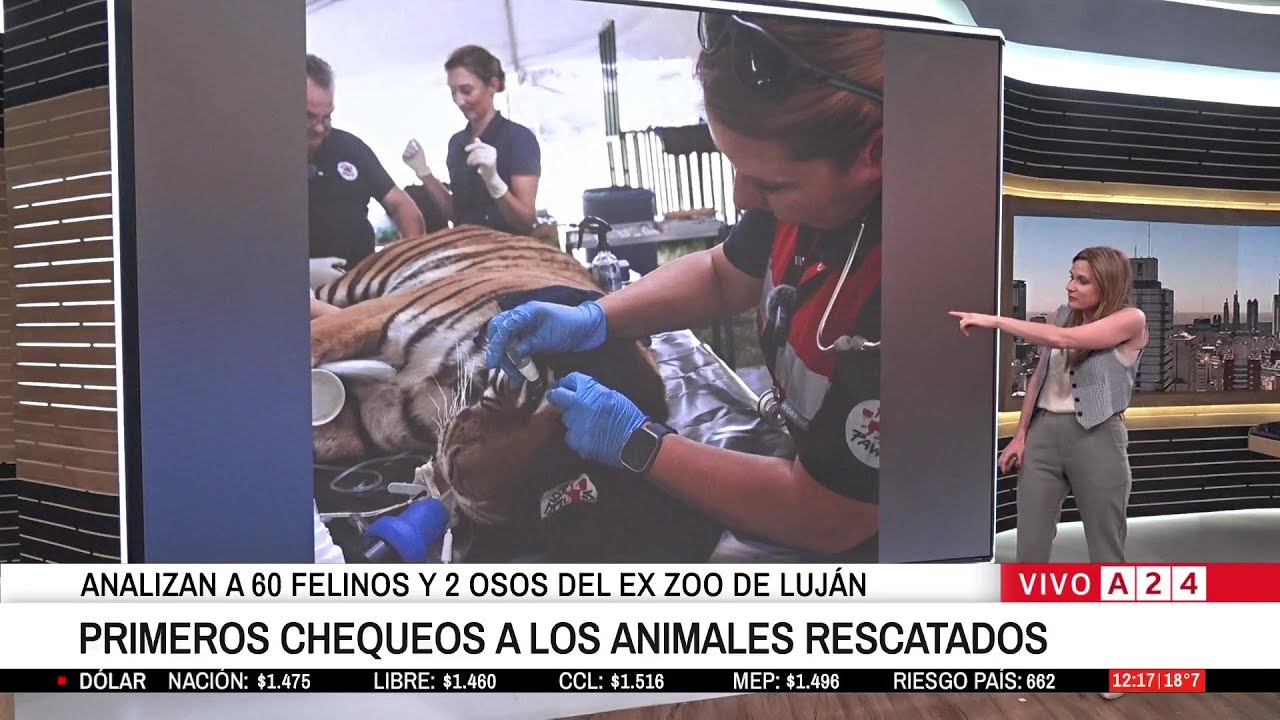 📢 ZOO DE LUJÁN: PRIMER CHEQUEO A LOS ANIMALES RESCATADOS