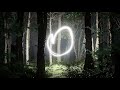 Light In The Forest (After Effects template)