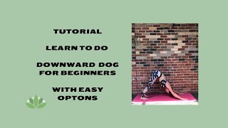 Down Dog for Beginners- use my tips to make tis easy, also what you should avoid!