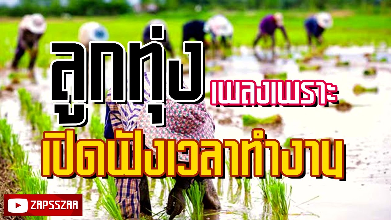 เพลงลูกทุ่งเพราะๆฟังสบาย เปิดฟังเวลาทำงาน