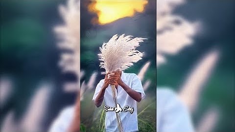 Gata Only Xml File ( 34 ) 💣💥 New Tik Tok Trending Viral Video 💫🥴 Xml By @AriyanEditz6t7-w7g❤️‍🩹