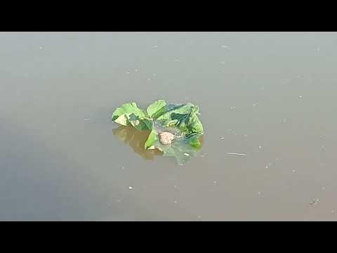 зе ласт оф аст зе ласт оф аст