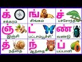 க்ங்ச்ஞ்/மெய்எழுத்துக்கள்/Meieluthukkal/Tamil alphabets for kids @PEEKABOO-ff8wq #meieluthukkal