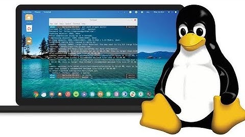 Breathe new life into aging PCs: Tiny Core Linux 15.0 challenges Windows 11 #linux #window