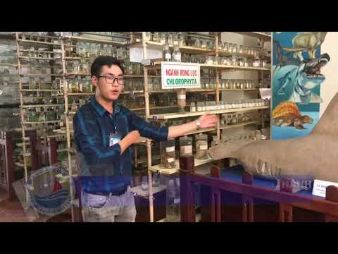 THUC HANH NVHD BẢN TIN KHOA DU LỊCH 3 1 - youtube