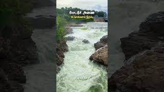 🔴மேட்டூர் அணையின் 16 கால்வாய் திறப்பு🔥| Mettur Dam th Cave Opening | Sale District | Kakakapo