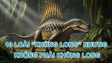 10 Loài “Khủng Long” Nhưng Không Phải Khủng Long | 10 Creatures Mistaken for Dinosaurs